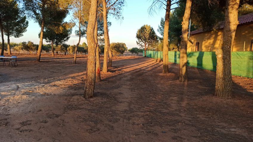 Carretera Alameda de Cervera