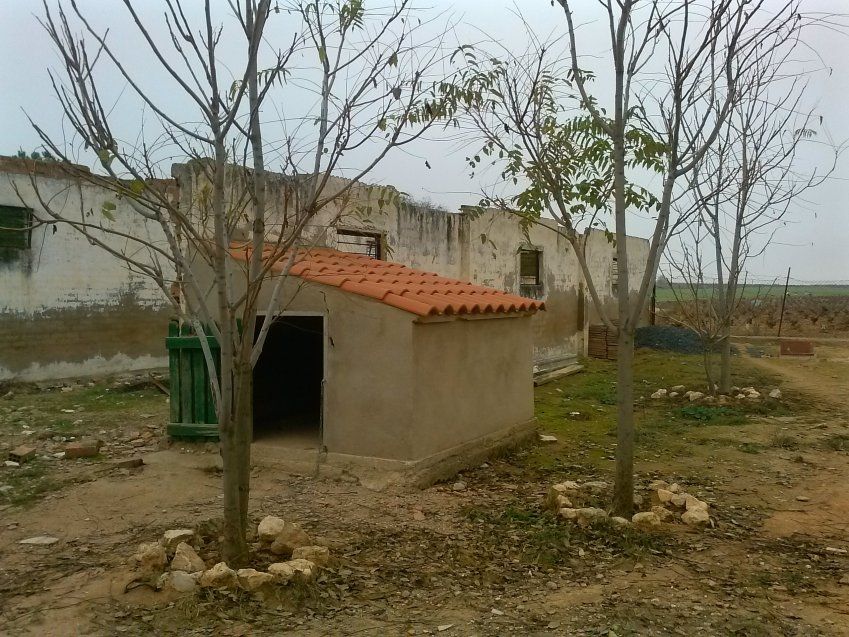 Carretera de Manzanares