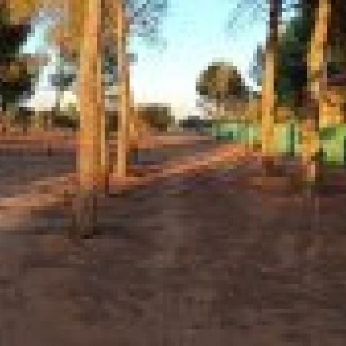Carretera Alameda de Cervera