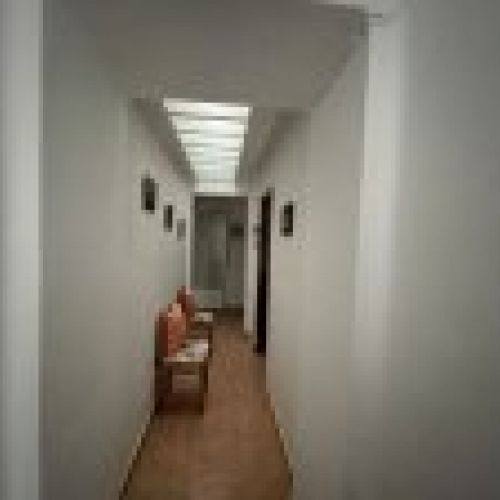 IMG 7882