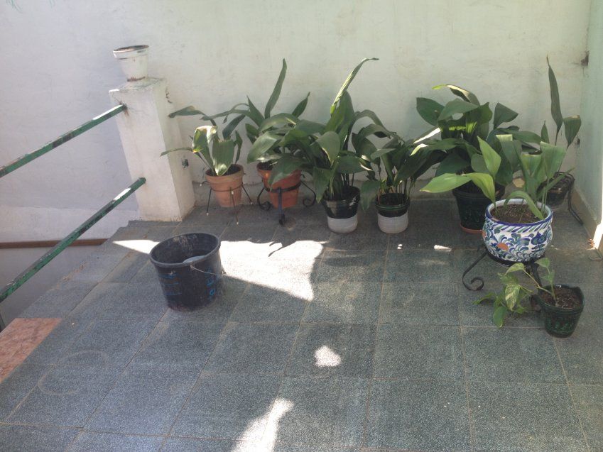 Calle Tenerife 28
