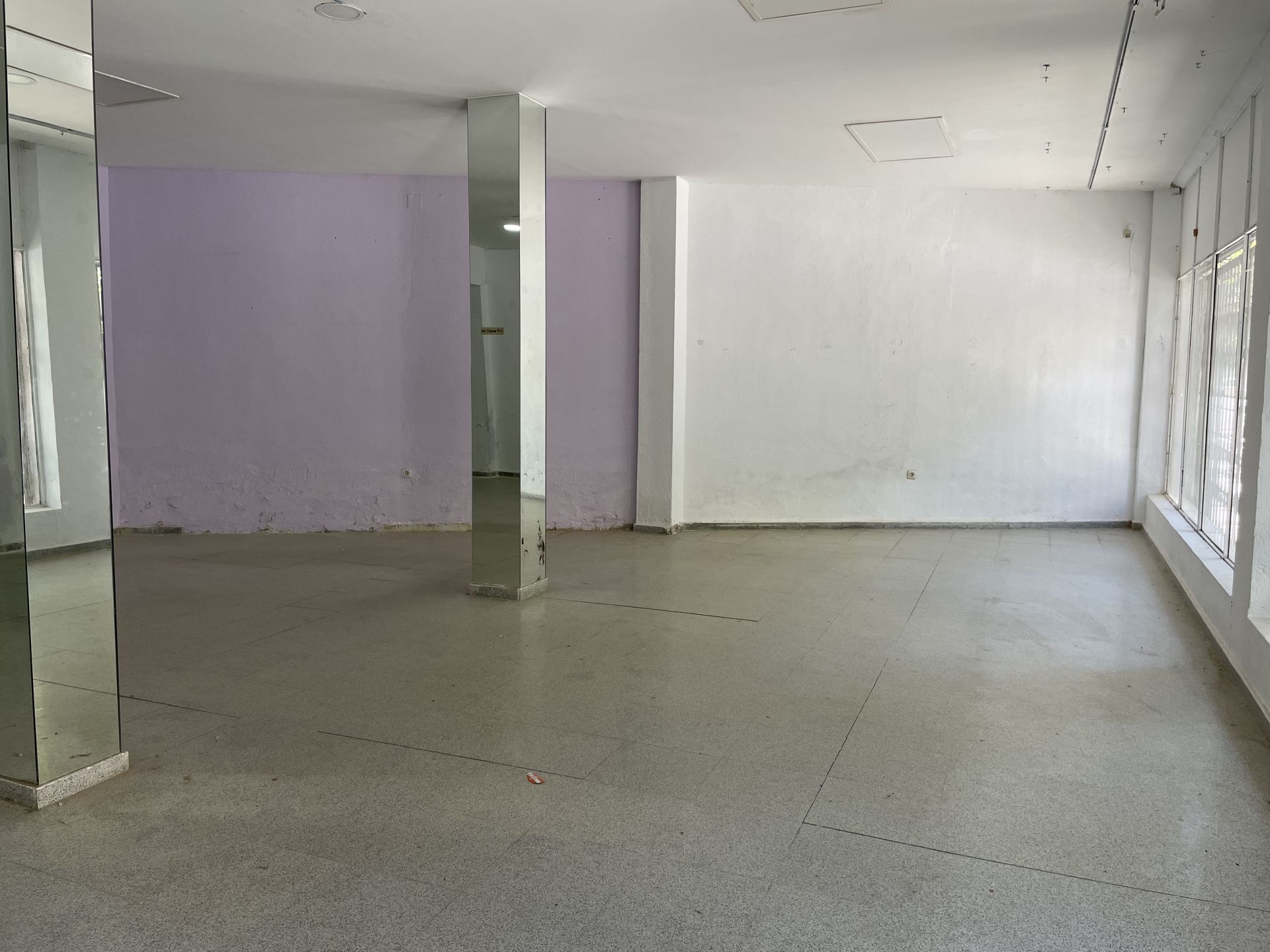 img 1750